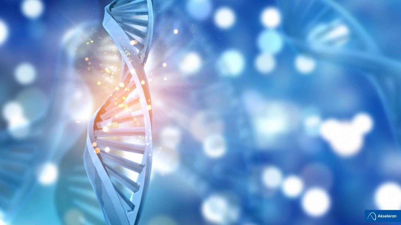 Biaya Tes DNA