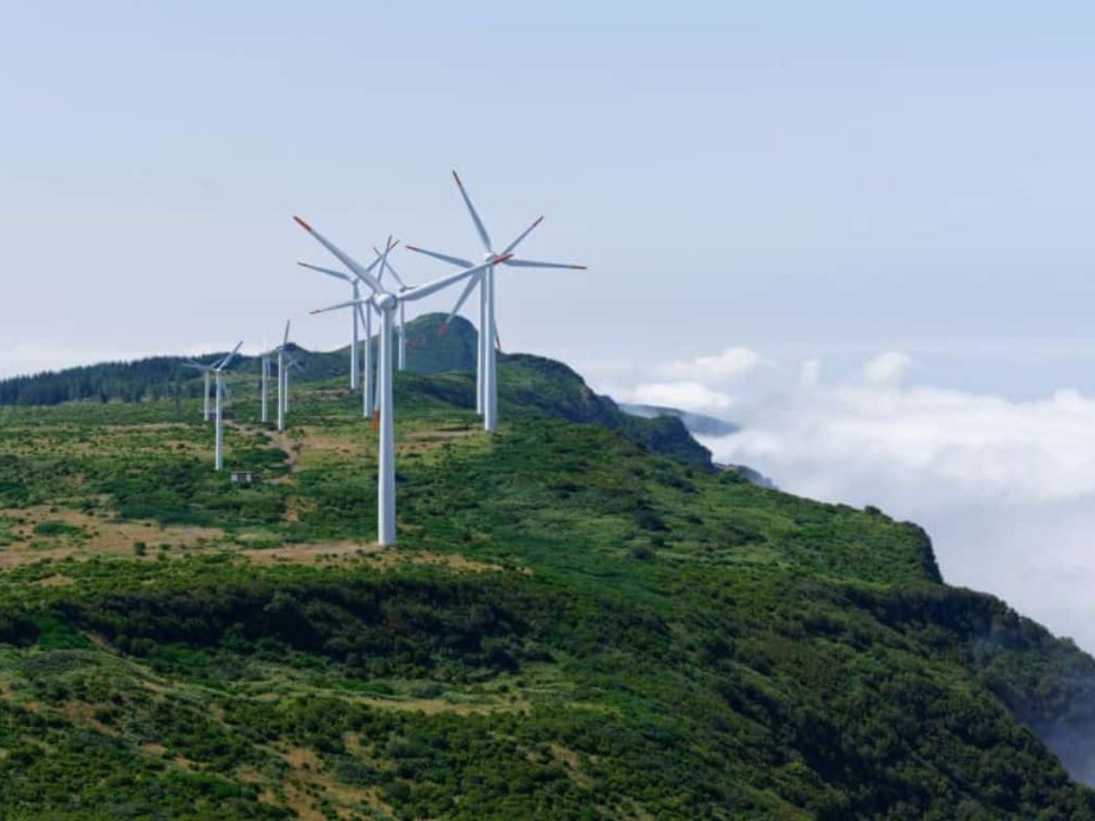 Jelaskan pemanfaatan energi angin sebagai energi alternatif pengganti minyak bumi